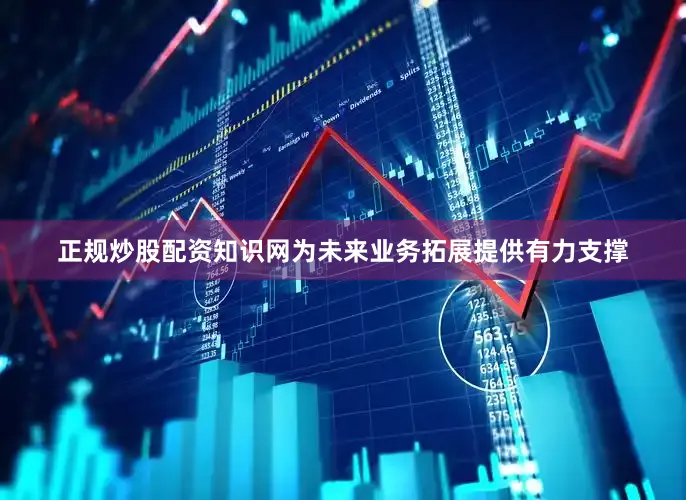 正规炒股配资知识网为未来业务拓展提供有力支撑