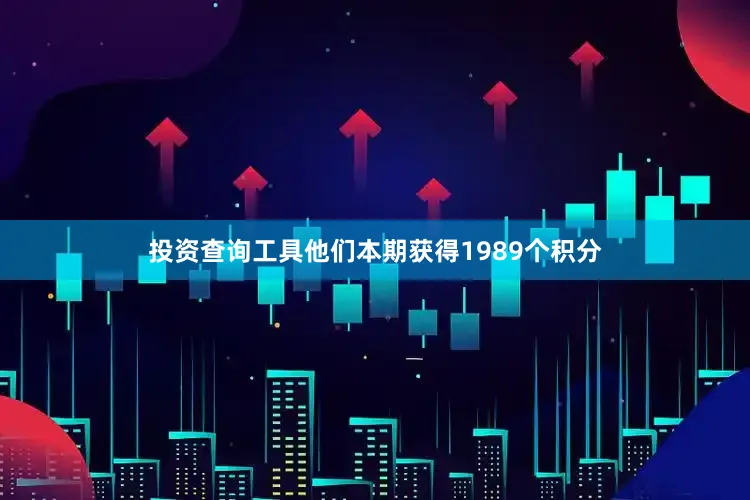投资查询工具他们本期获得1989个积分