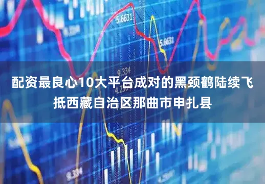 配资最良心10大平台成对的黑颈鹤陆续飞抵西藏自治区那曲市申扎县